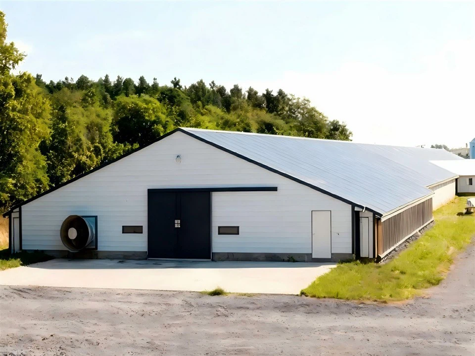white-steel-structure-poultry-house-with-ventilation-farm